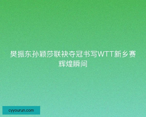 樊振东孙颖莎联袂夺冠书写WTT新乡赛辉煌瞬间